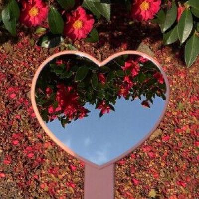 业内人士：确有大小合同调税现象 国家严查是好事