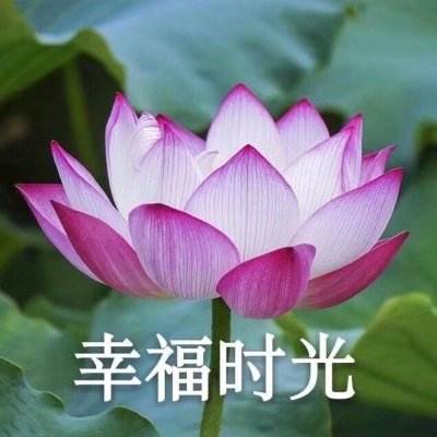 天硕(TOPSSD)解析：存储介质的分...
