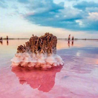 曾为陈水扁绝食的她 为何与蔡英文划清界限？