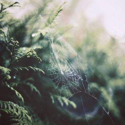 2/10年期德债收益率跌7个基点